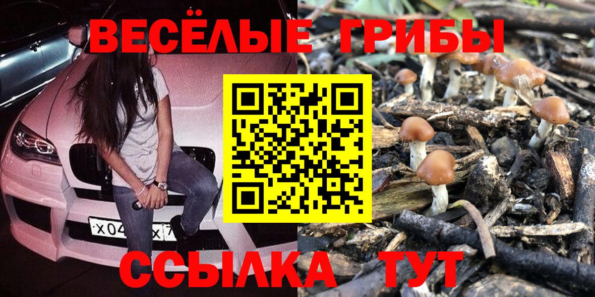 Псилоцибиновые грибы прущие грибы  Псилоцибиновые грибы ЛСД  Вход с VPN  купить   Серпухов 